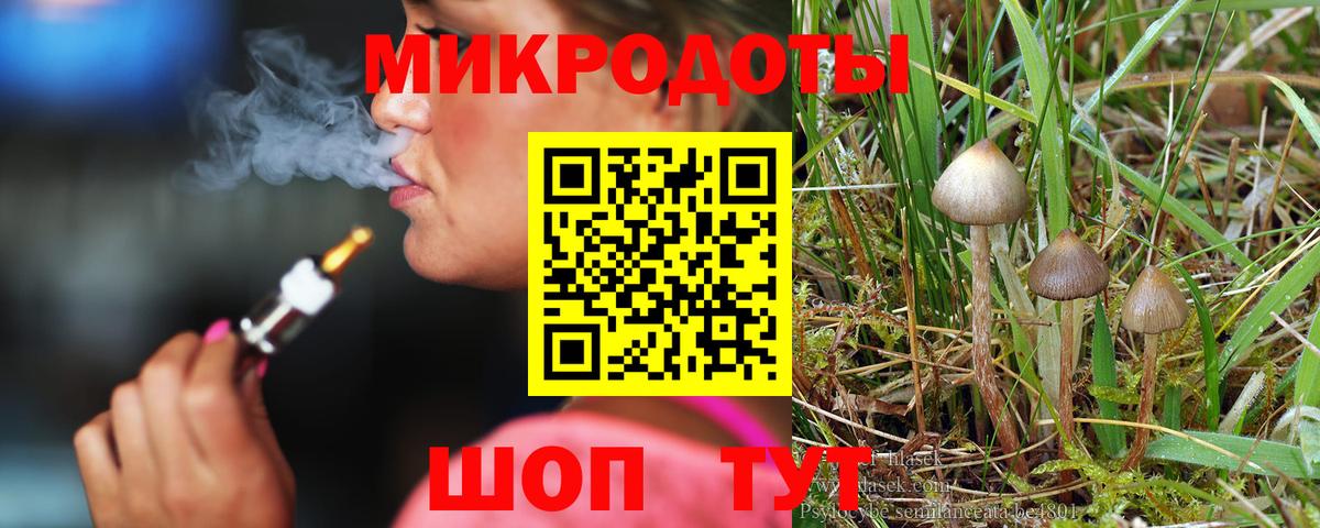 Галлюциногенные грибы Psilocybe  Галлюциногенные грибы мицелий  Лобня  Вход с VPN 